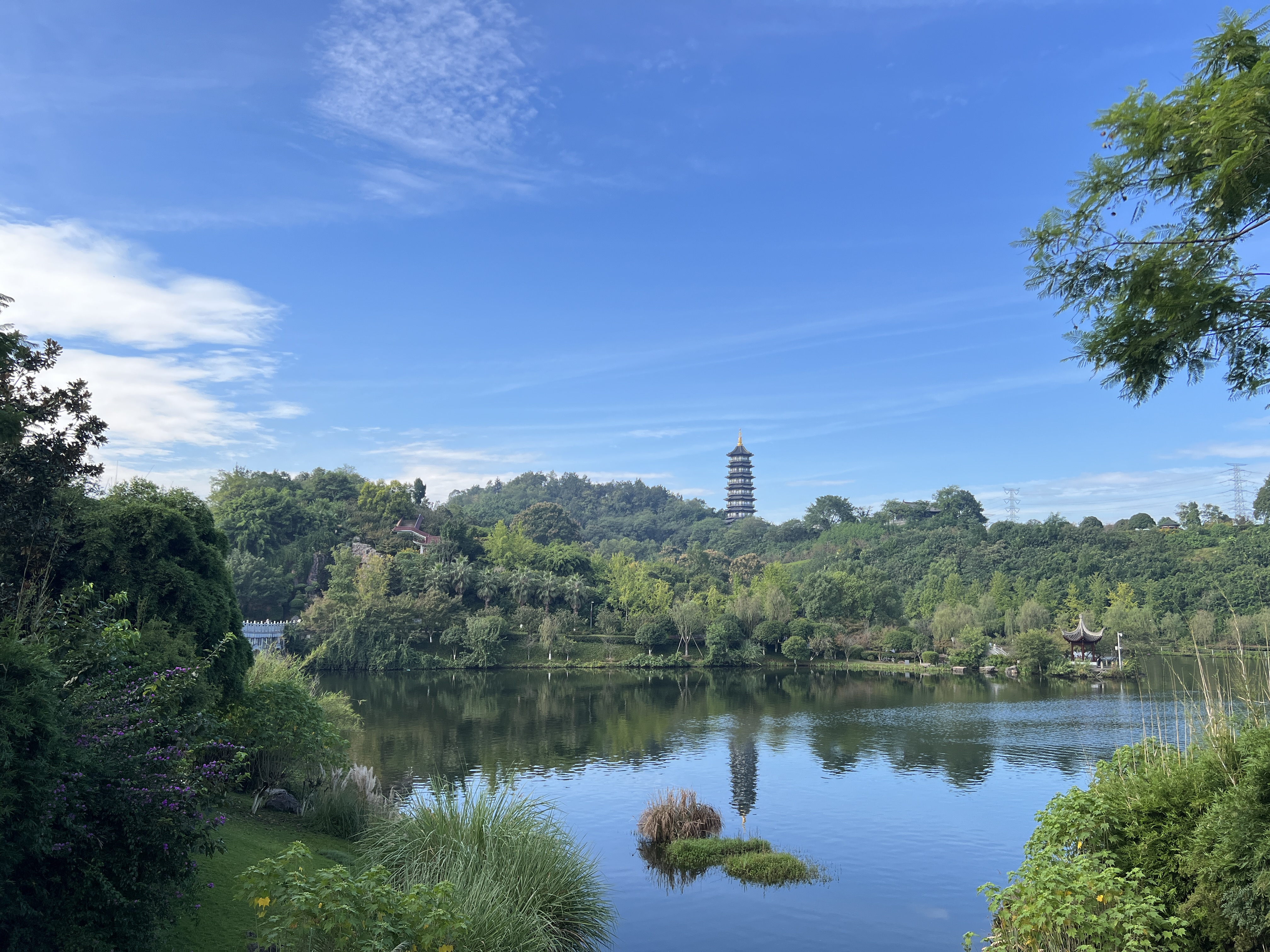 1766732412833018.jpg 02彭灝+重慶園博園的午后(1).jpg